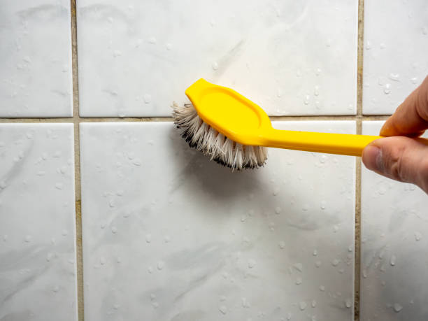 Best Mold Removal Near Me  in Rockport, IN