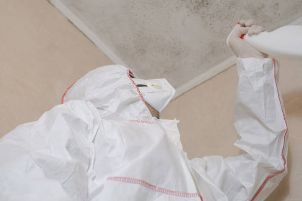 Best Mold Damage Repair  in Rockport, IN