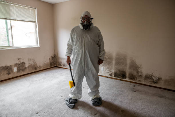 Best Mold Testing  in Rockport, IN